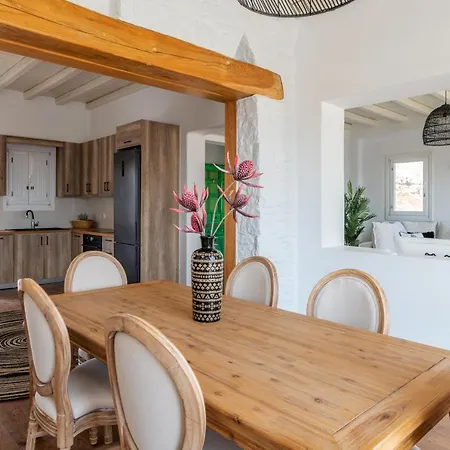 Ryakia Villa, 5 Min Away From Super Paradise Beach (Mykonos)